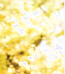 【青山裕企】青山裕企♡妹妹