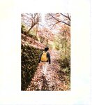 【青山裕企】青山裕企♡妹妹