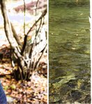 【青山裕企】青山裕企♡妹妹