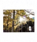【青山裕企】青山裕企♡妹妹