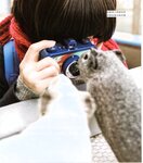 【青山裕企】青山裕企♡妹妹