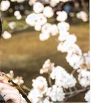 【青山裕企】青山裕企♡妹妹
