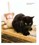 【青山裕企】青山裕企♡妹妹