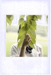 【青山裕企】青山裕企的写真告白