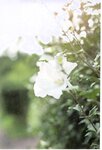 【青山裕企】青山裕企的写真告白
