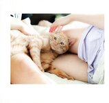 【青山裕企】ネコとフトモモ