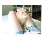【青山裕企】ネコとフトモモ