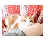 【青山裕企】ネコとフトモモ