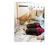 【青山裕企】ネコとフトモモ