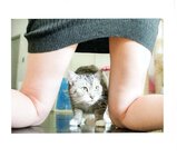 【青山裕企】ネコとフトモモ