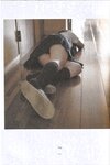 【青山裕企】SCHOOLGIRL COMPLEX 2