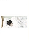 【青山裕企】君の足跡 生駒里奈