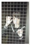 【青山裕企】君の足跡 生駒里奈
