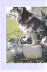 【青山裕企】绝对领域