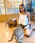 Allieasia OnlyFans Photo Collection