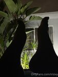 Irisivy Picture Complete OnlyFans Picture Collection