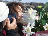 [Graphis] Special Content 2007.04.30 Maiko Kazano 風野舞子 Material of Shine