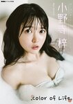 [BUBKA Photobook] Azusa Onodera 小野寺梓 - Color of Life (NO watermark)