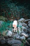 [DJAWA] ZziZzi - Summer Getaway Vol.2