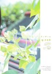 [blt graph] vol.10