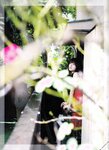 [blt graph] vol.02