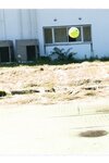 [Photobook] resonance 鎮西寿々歌