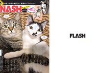 [FLASH] 2019 No.04.02 (深田恭子 松本圭世 北向珠夕 他)