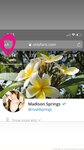 Maddiesprings OnlyFans 3400+ Pictures Collection