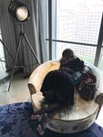 [COSPLAY] 安乔乔儿 Nia乔乔 NO.023 出差刚到酒店呀