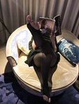 [COSPLAY] 安乔乔儿 Nia乔乔 NO.023 出差刚到酒店呀