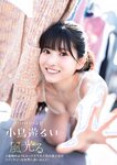 FLASHスペシャル グラビアBEST 2023年春「水着総登場」 菊地姫奈 豊田ルナ HKT48 山下エミリー NGT48 大塚七海 三田悠貴 #ババババンビ 小鳥遊るい 志田音々 鈴木聖 和泉芳怜 青井春
