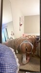 B00b1e OnlyFans Photo Leak (3000+ Pics)