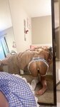 B00b1e OnlyFans Photo Leak (3000+ Pics)