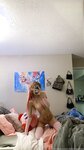 B00b1e OnlyFans Photo Leak (3000+ Pics)