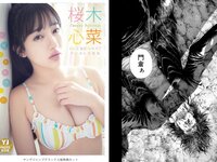 [Young Jump] 2023 No.20 (桜木心菜 涼那 西野夢菜)
