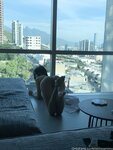 Latina milissenmx Leaked OnlyFans Pics