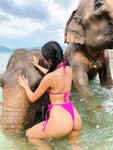 Praewasian OnlyFans Picture Collection