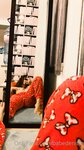 Babyeva.official Onlyfans Photo Leak