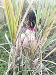 Bellanatashaok OnlyFans Photo Collection