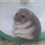 Beautiful Asian Xailormoon OnlyFans Picture Leaked