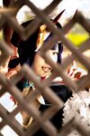 [Cosplay] Hitsuji Negoto 音琴ひつじ - Oni no Manimani 鬼のまにまに (FGO)