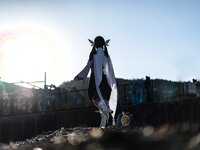 [Cosplay] Hitsuji Negoto 音琴ひつじ - Kamisama ⭐ ︎ Phantasm かみさま⭐︎ファンタズム (Fatekaleid liner)