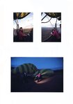 2010.11.28 杉本有美 写真集 wish