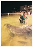 [Photobook] 白間美瑠ファースト写真集「LOVE RUSH」