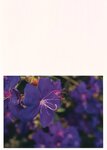 [Photobook] 白間美瑠ファースト写真集「LOVE RUSH」