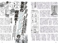 [Weekly Playboy] 2023 No.19-20 (足立梨花 ピョ・ウンジ くりえみ 高倉菫 菊地姫奈 風吹ケイ RaMu 他)