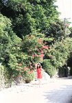 [Photobook] 影山優佳1st写真集「知らないことだらけ」(2023-05-09)