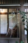FRIDAYデジタル写真集 森咲智美 秘湯の密会 DAY.2