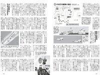 [Weekly Playboy] 2023 No.21 (桑島海空 イ・シヨン いけちゃん 武藤十夢 マーフィー波奈 青島心 羽柴なつみ 七瀬なな 他)