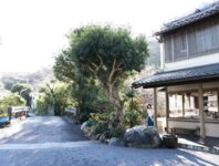FRIDAYデジタル写真集 永岡怜子『それから vol.4』20カット
